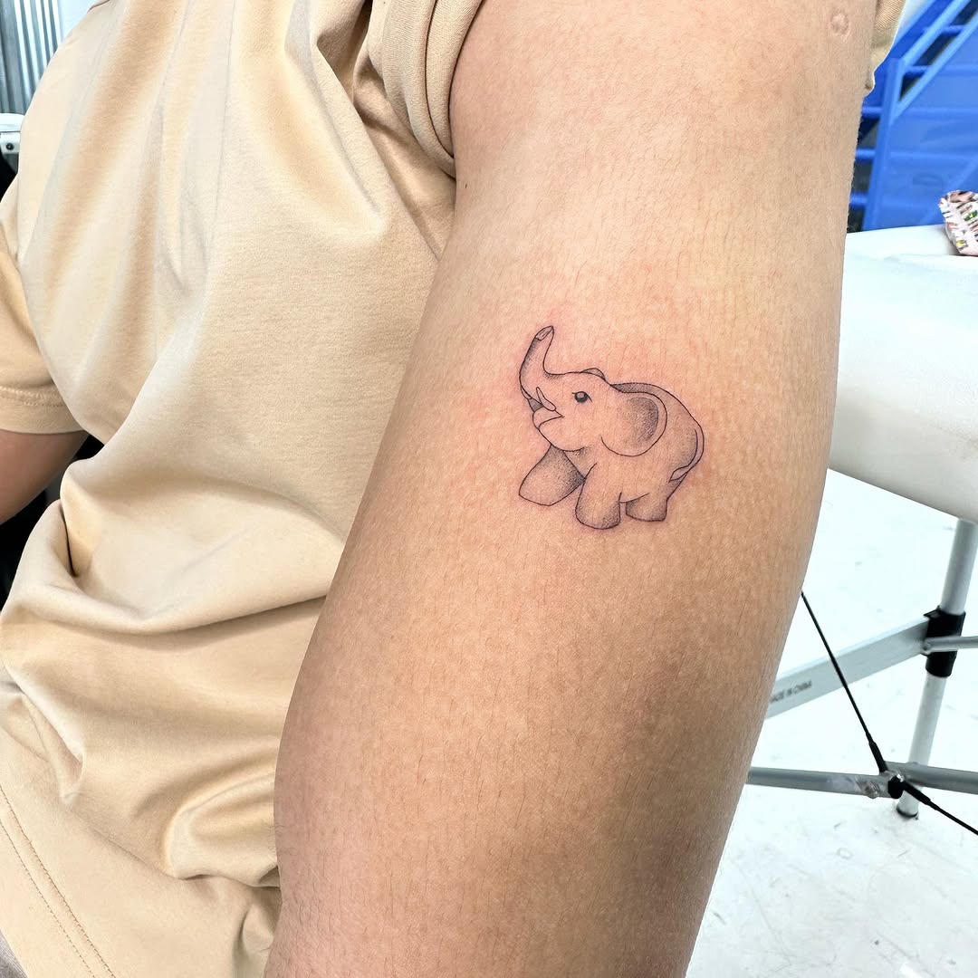곰, Mini, 멧돼지
