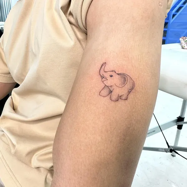 곰, Mini, 멧돼지