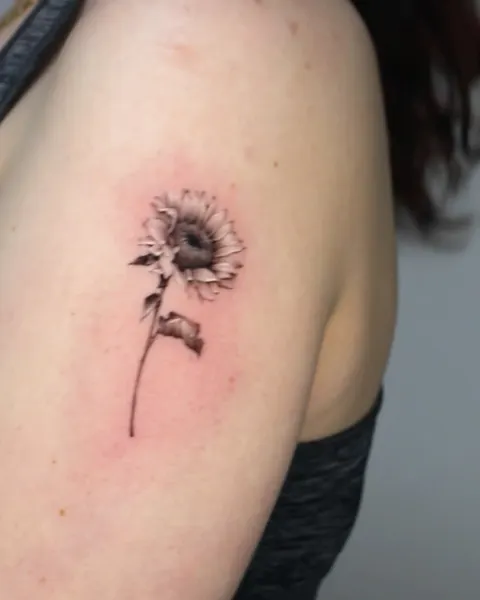 Flower, 국화, 데이지, 민들레, 해바라기
