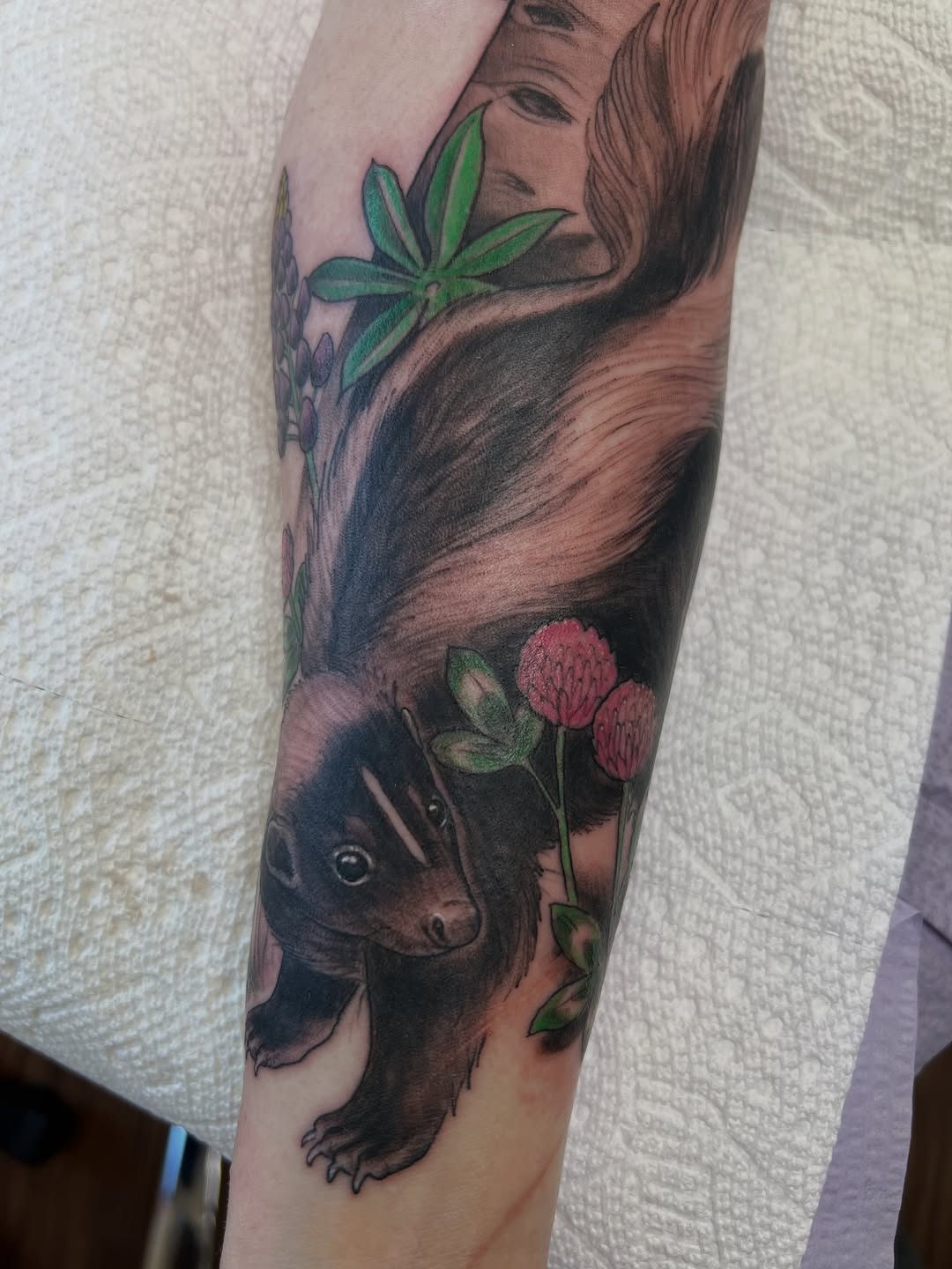 shawn_hebrank