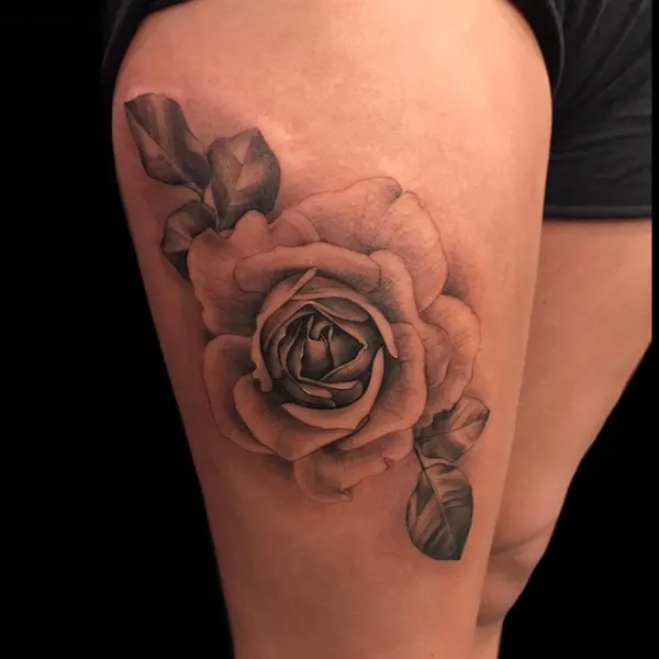 Flower, Rose