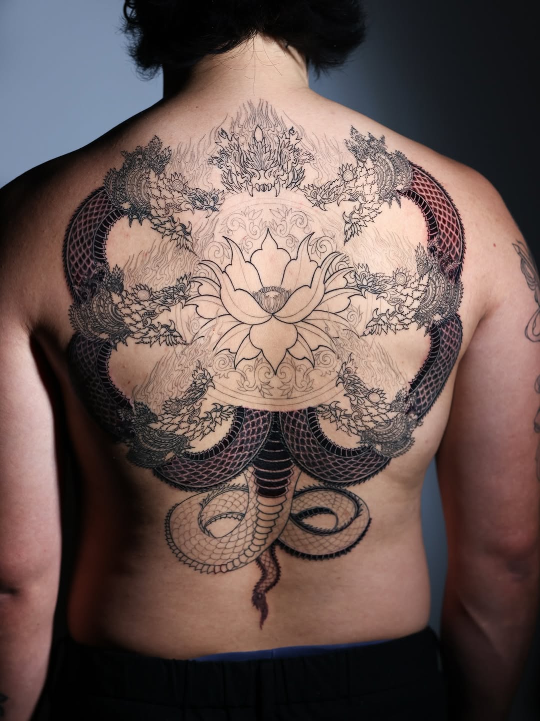 Dragon