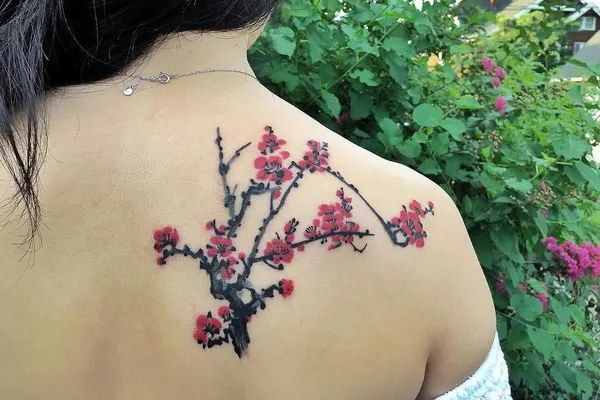 매화, Flower, Nature, Rose, 벚꽃