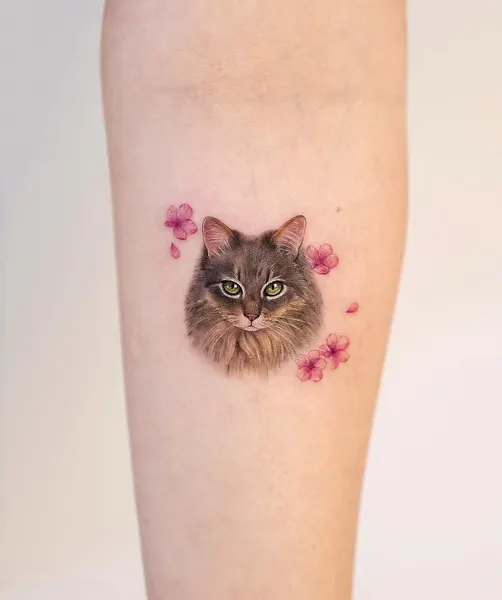Animal, 고양이