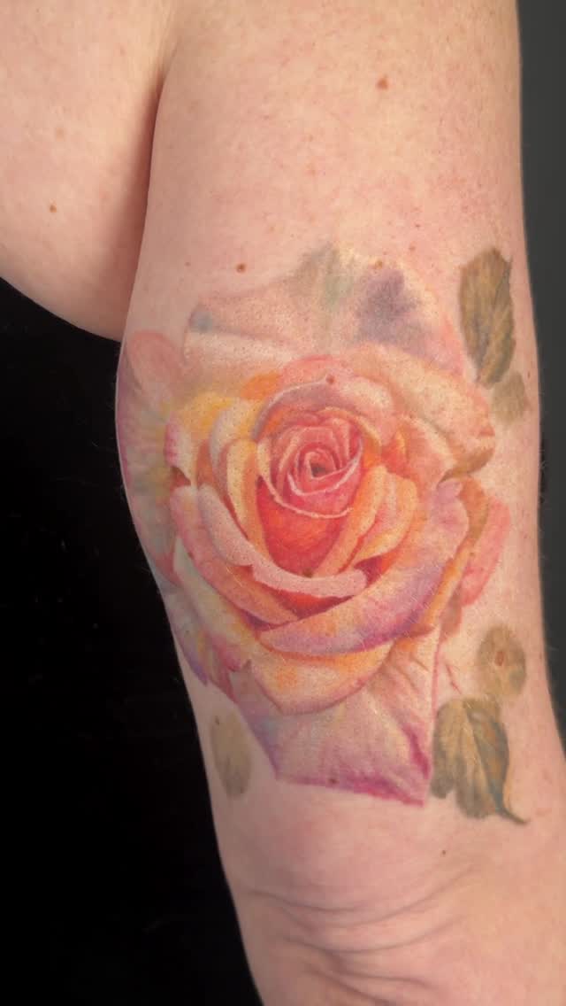 Flower, Rose