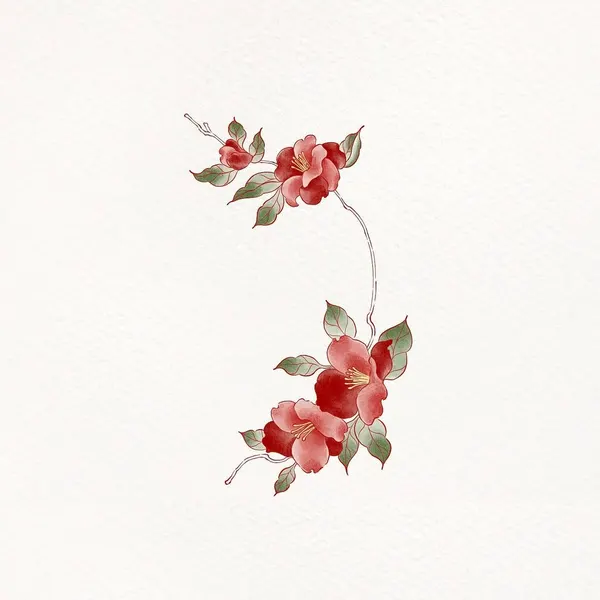 Flower, Nature
