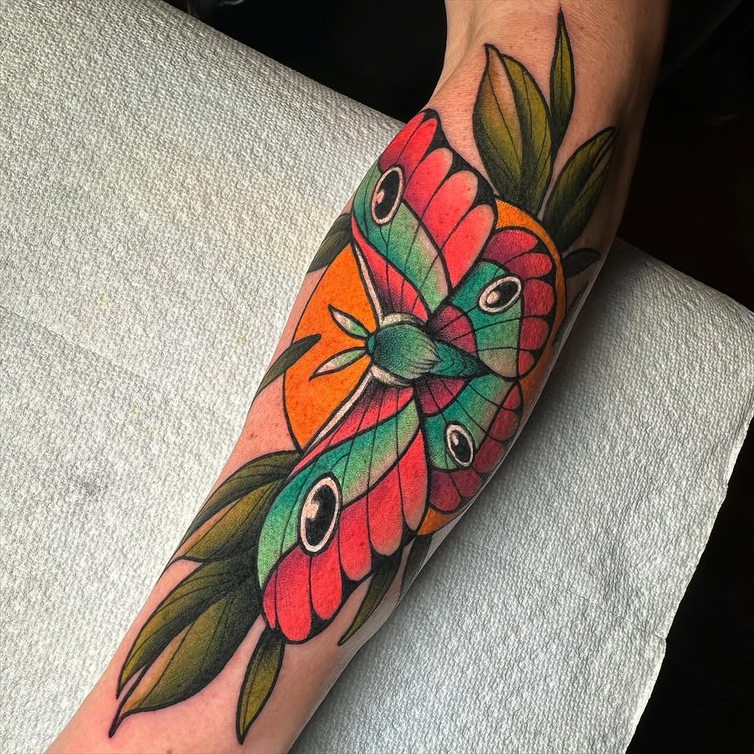 Animal, Nature, Flower