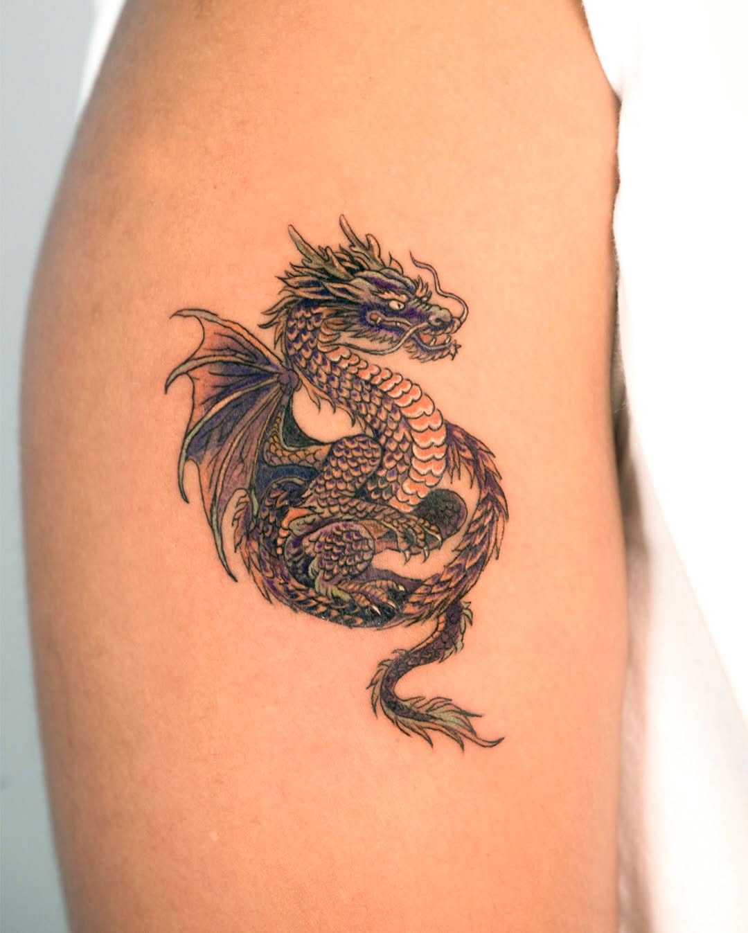 Dragon, 드래곤 라이더, 한국 용