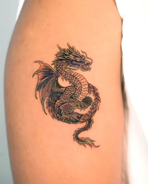 Dragon, 드래곤 라이더, 한국 용