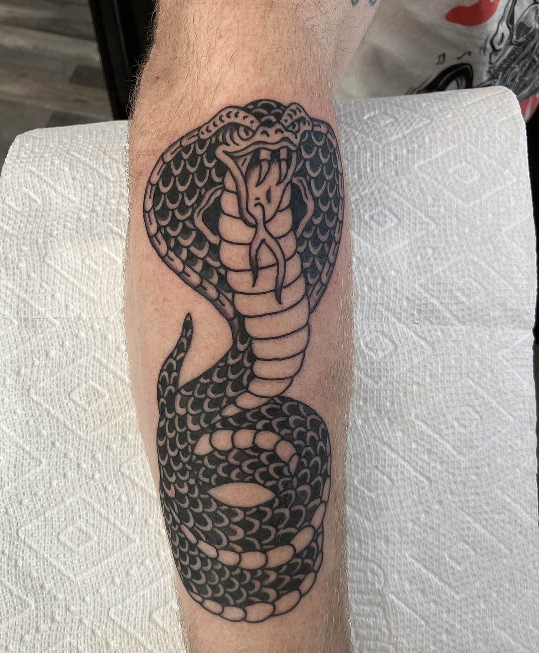 Dragon, Snake