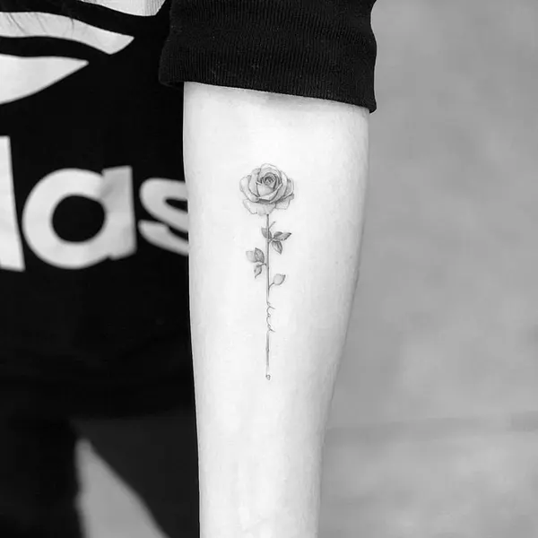 Flower, Rose