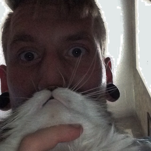 Animal