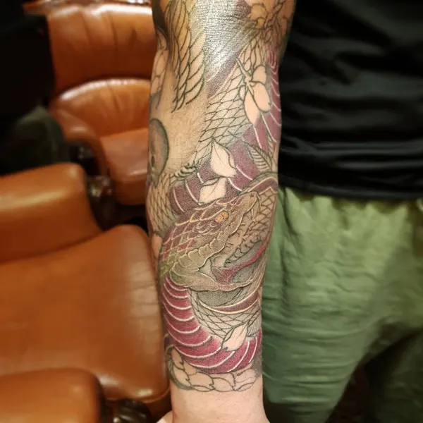 Dragon, Animal