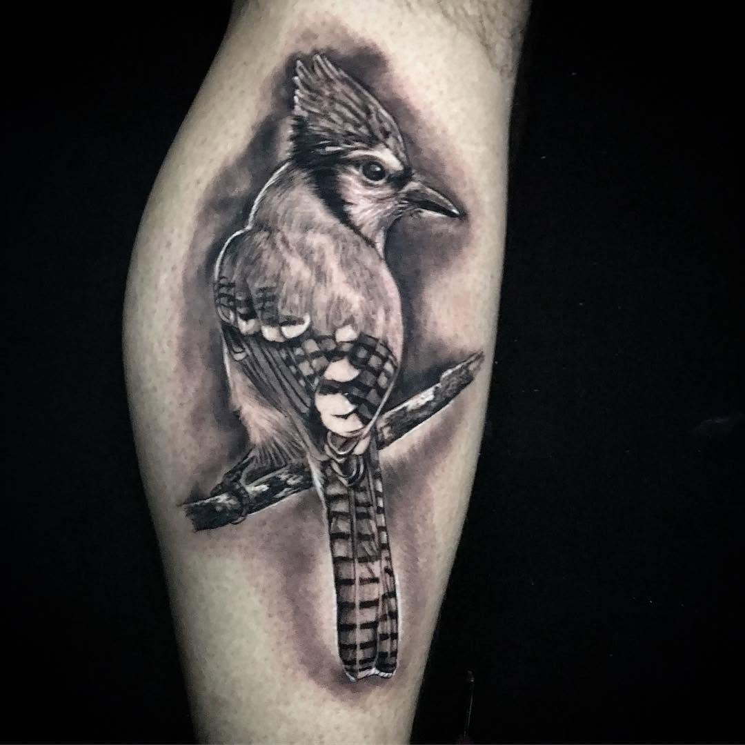 Animal, 기타