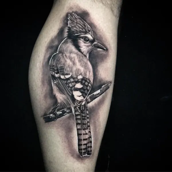 Animal, 기타