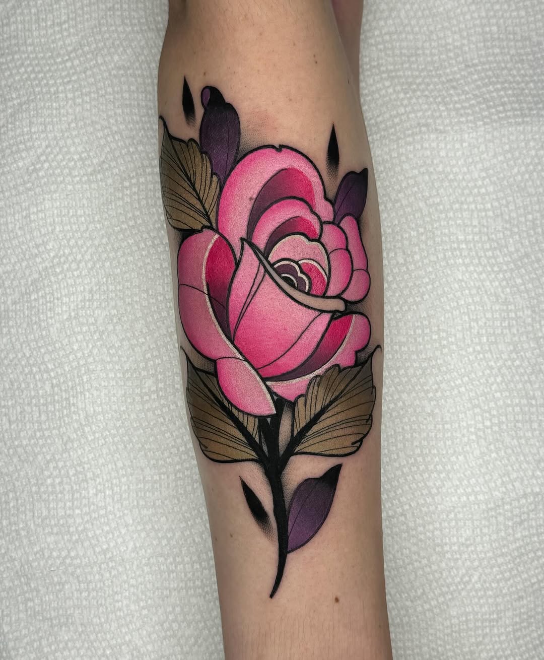 Flower, Rose