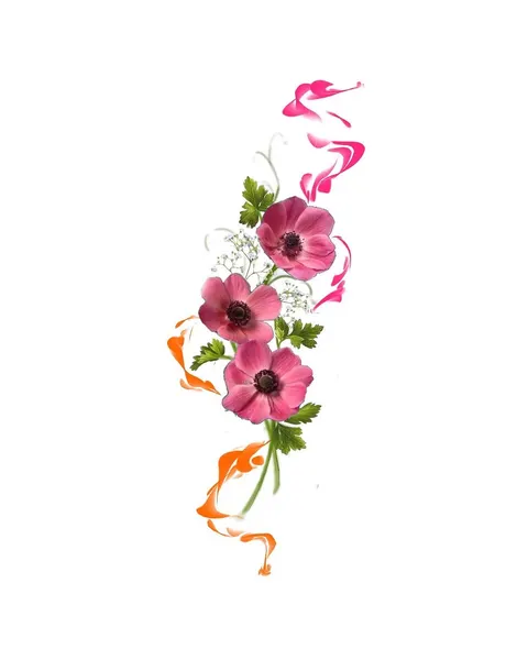 Flower, Nature, Rose