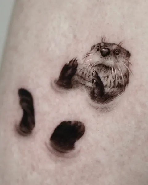 Animal, 돼지, 코알라