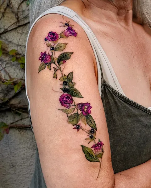 Flower, Rose, Nature