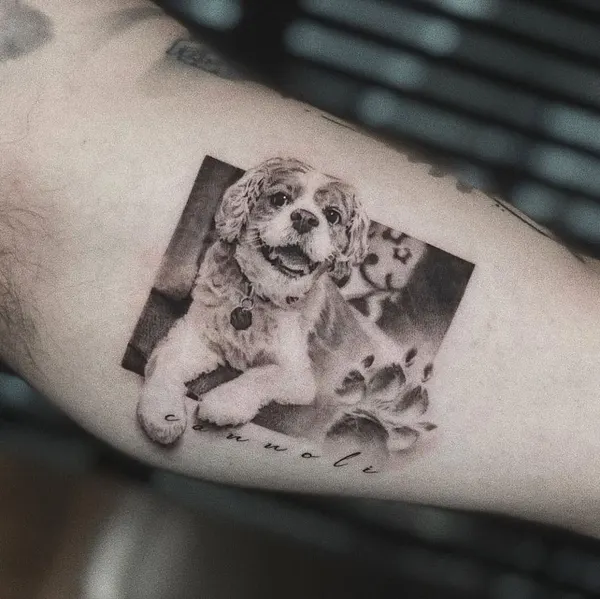 Animal, 반려동물 추모, 충성