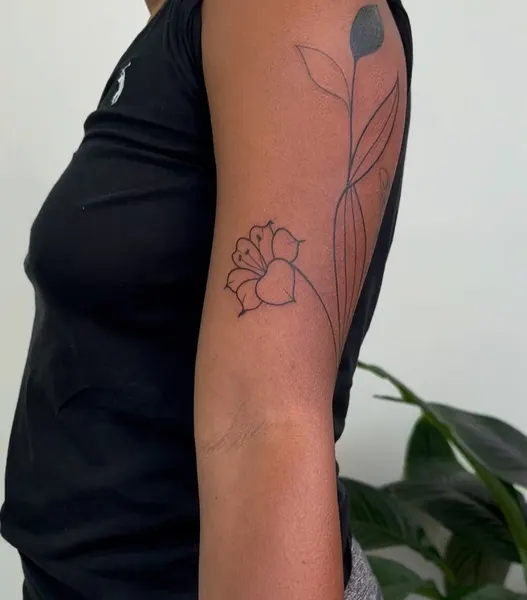 Flower, Rose