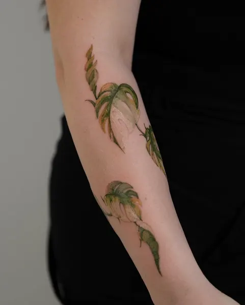 Flower, Rose, 풀, 고사리, 은행잎, 올리브 가지