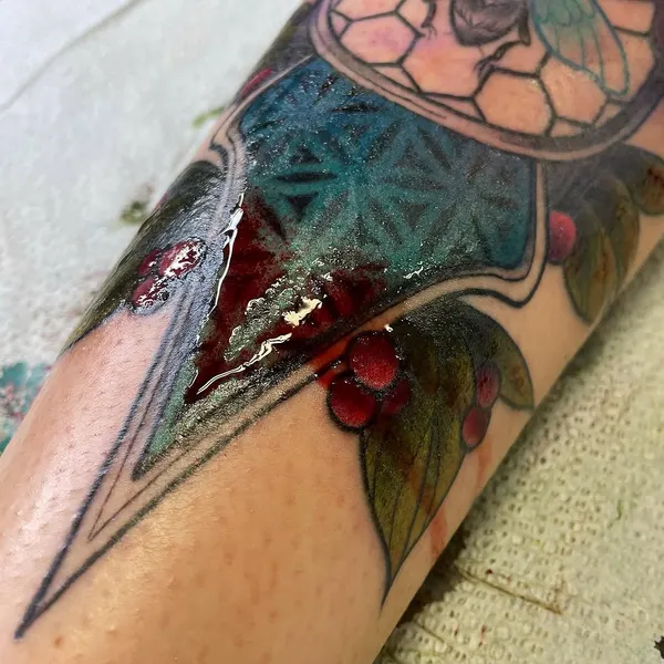 Flower, Animal, Rose