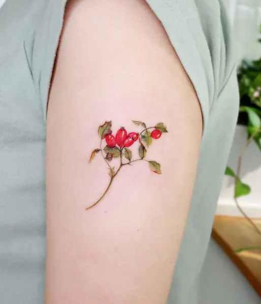 Flower, Rose