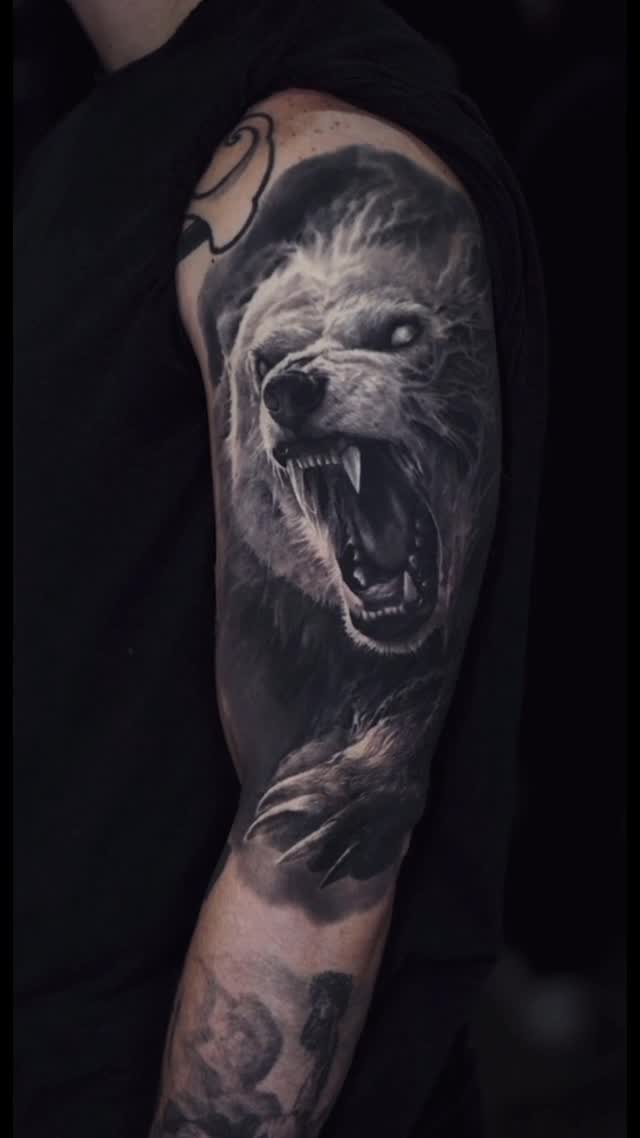 Animal