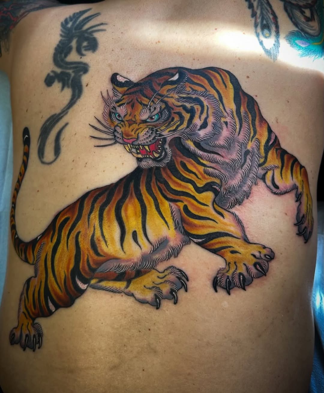 Tiger, 한국 호랑이