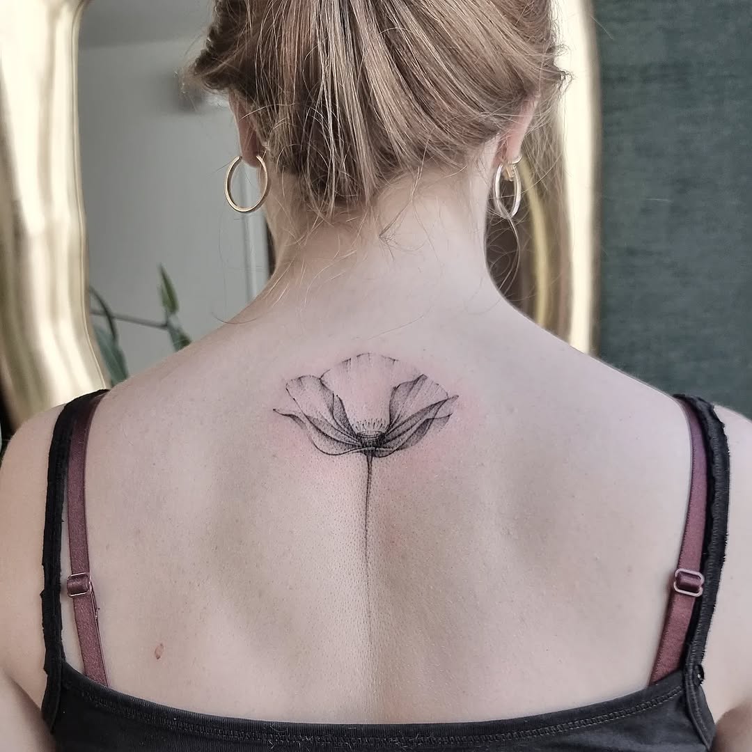 Flower, Nature