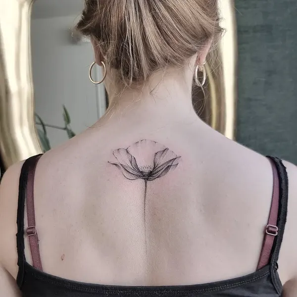 Flower, Nature