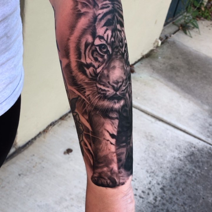 Tiger, 중국 호랑이