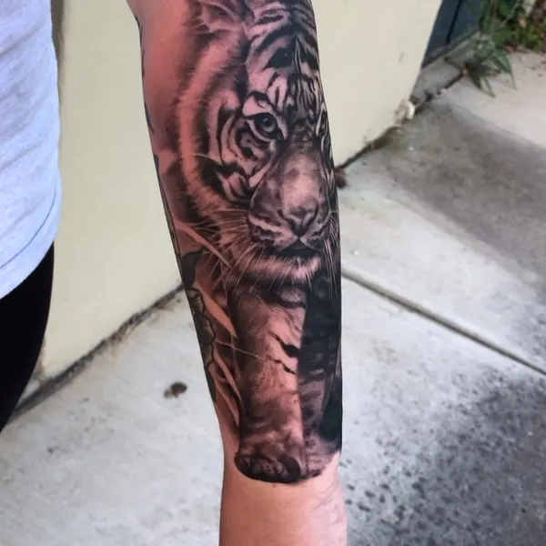 Tiger, 중국 호랑이