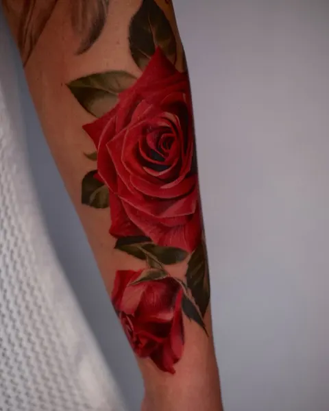 Flower, Rose