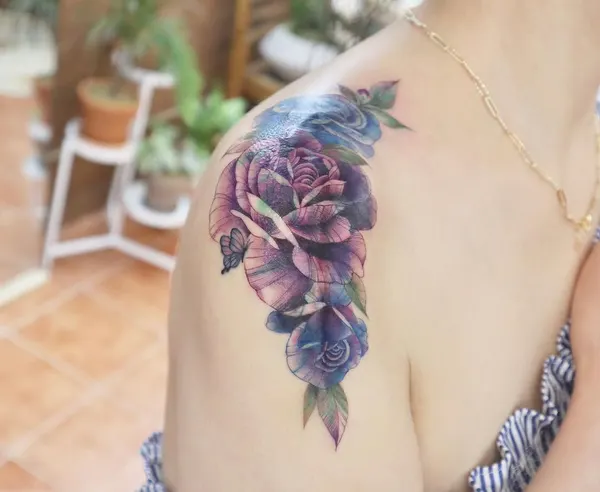 Flower, Rose, 모란