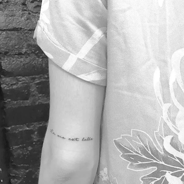 Flower, Lettering, Rose