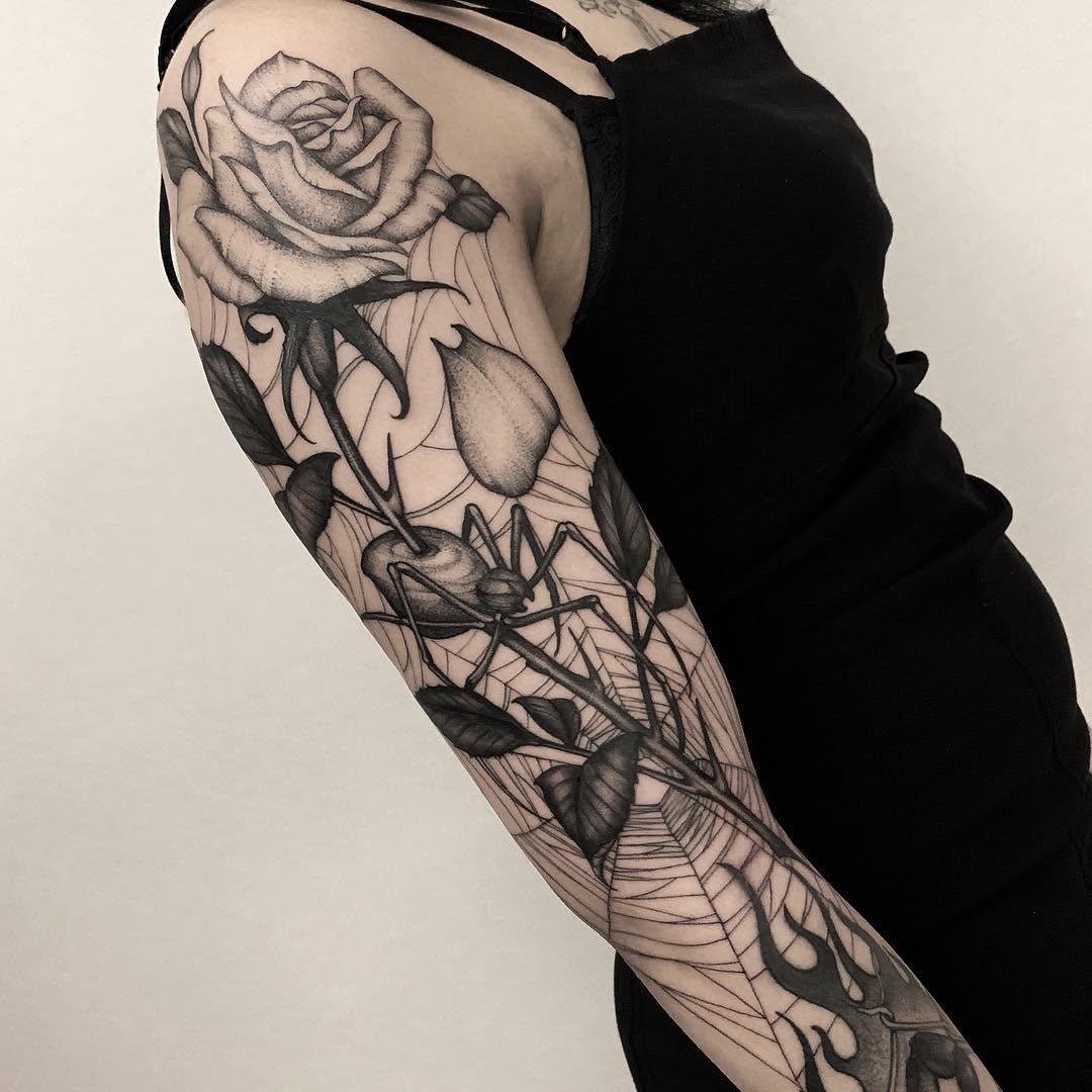 Flower, Rose