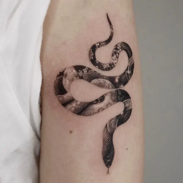 Snake