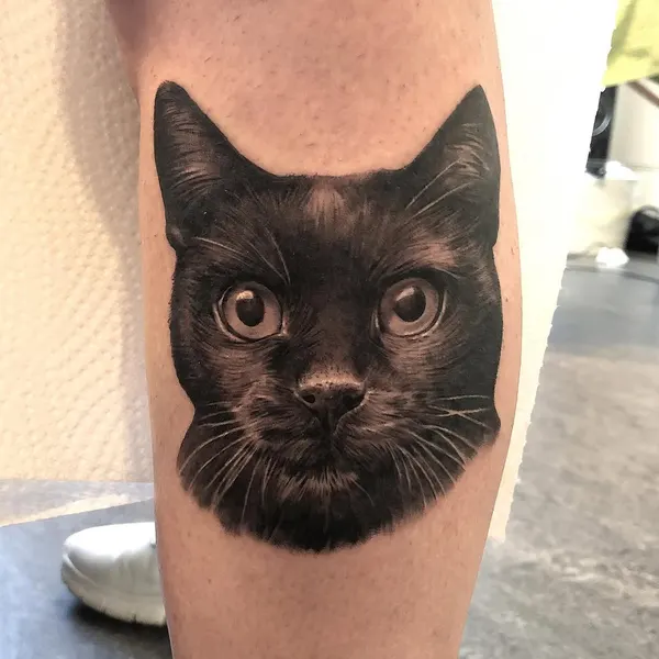Animal