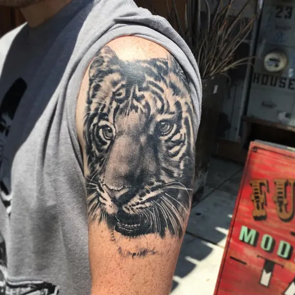 Tiger, 한국 호랑이