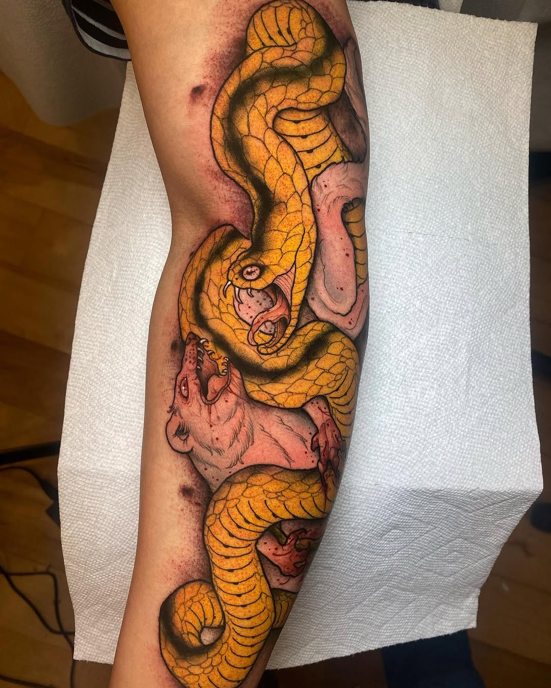 Dragon, Snake