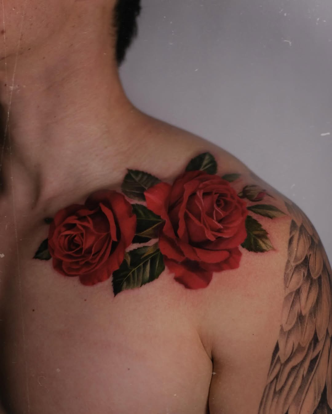Rose, Nature, Flower