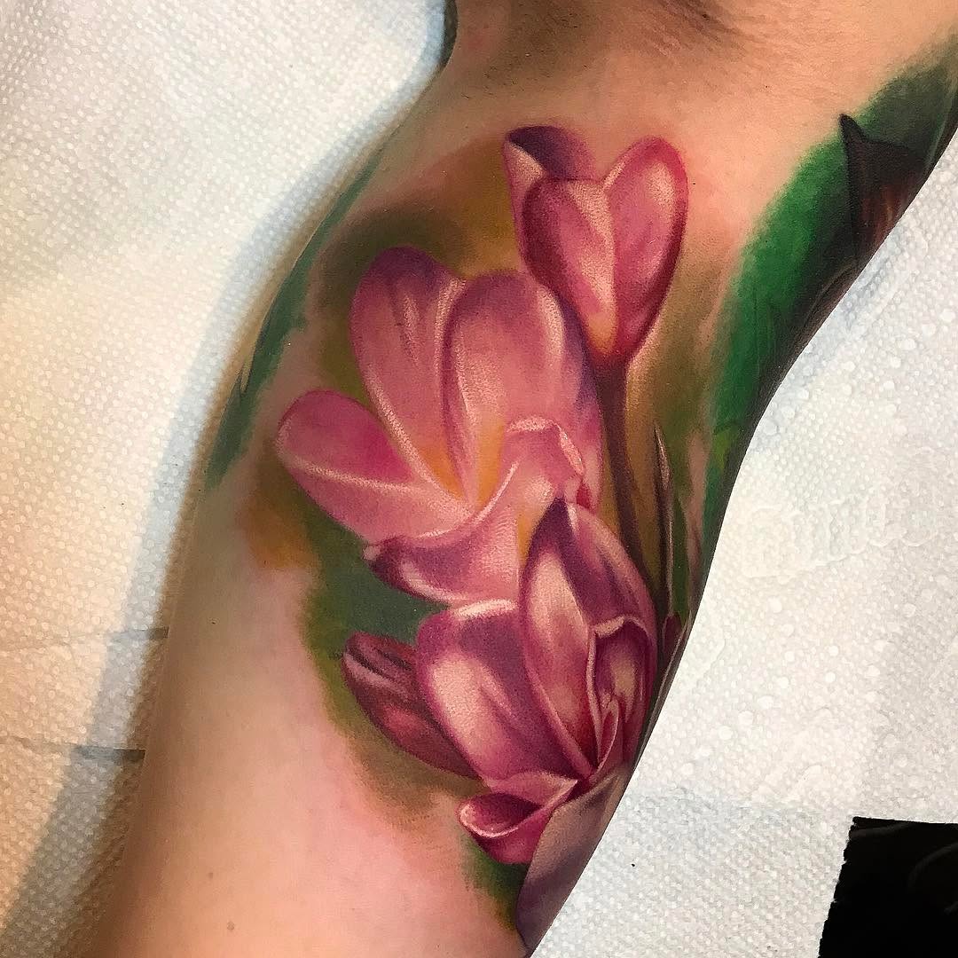 Flower, Rose, 백합, 튤립