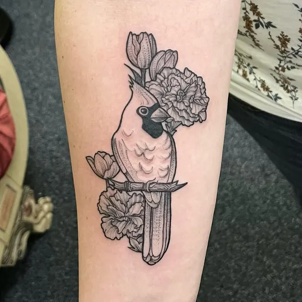 Animal, Nature, Flower