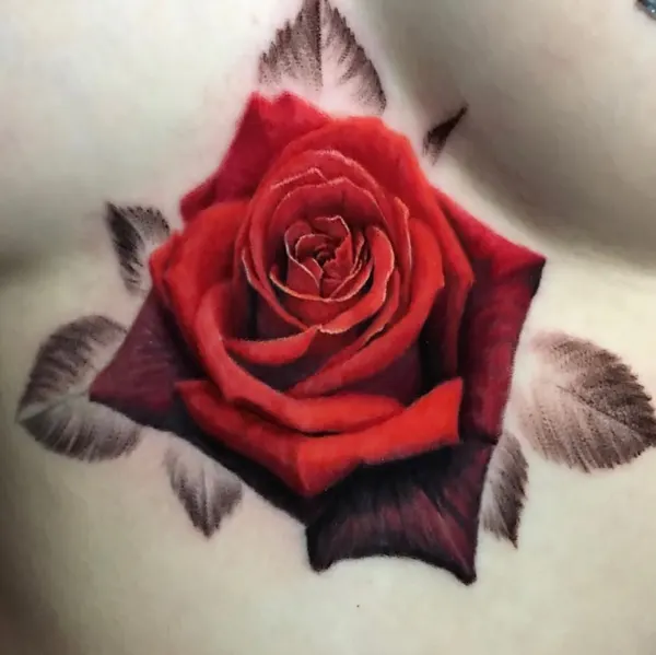 Flower, Rose