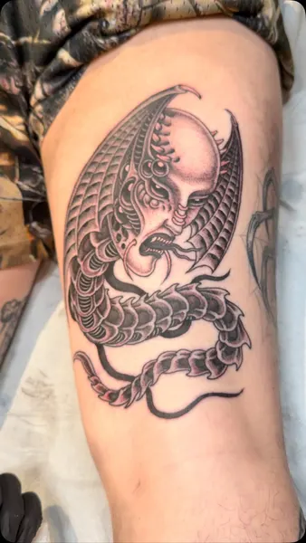 Dragon