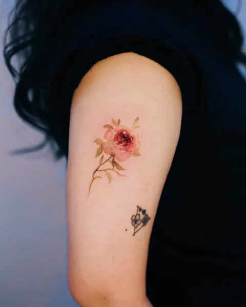 Flower, Rose