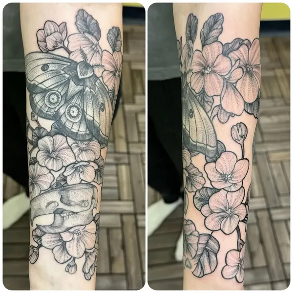 Flower, Rose, Animal, Nature