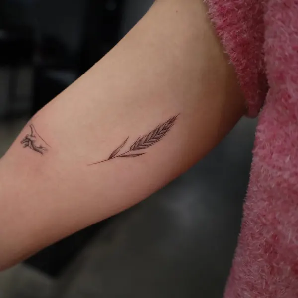 mnsantanatattoo
